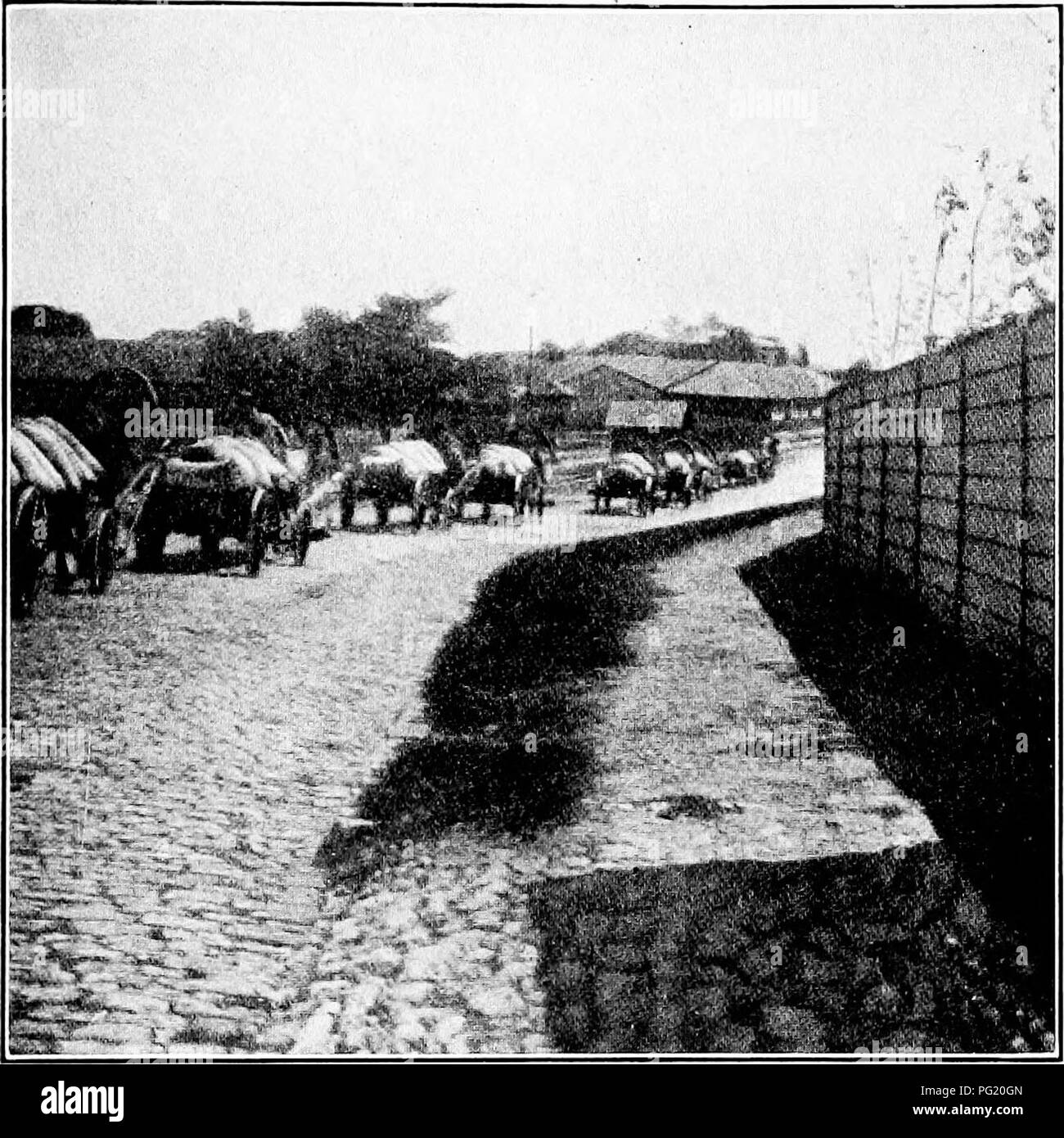 . Dry-farming; a system of agriculture for countries under a low rainfall. Dry farming. A DROUTH-EESISTING FARM 407. Fig. 109. Carting macaroni wheat to the wharves in southern Russia. Plains area. According to Alway, the country is in appearance very much like western Nebraska and Kansas; the climate is distinctly arid, and the pre- cipitation comes mainly in the spring and summer. It is the only experimental dry-farm in the Great Plains area with records that go back before the dry years of the early '90's. In 1882 the soil of this farrn was broken, and it was farmed continuously until 1888, Stock Photo