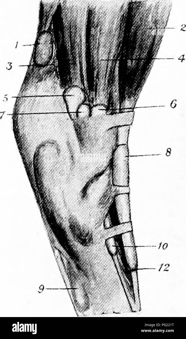 Sheath 14 13 16 hires stock photography and images Alamy