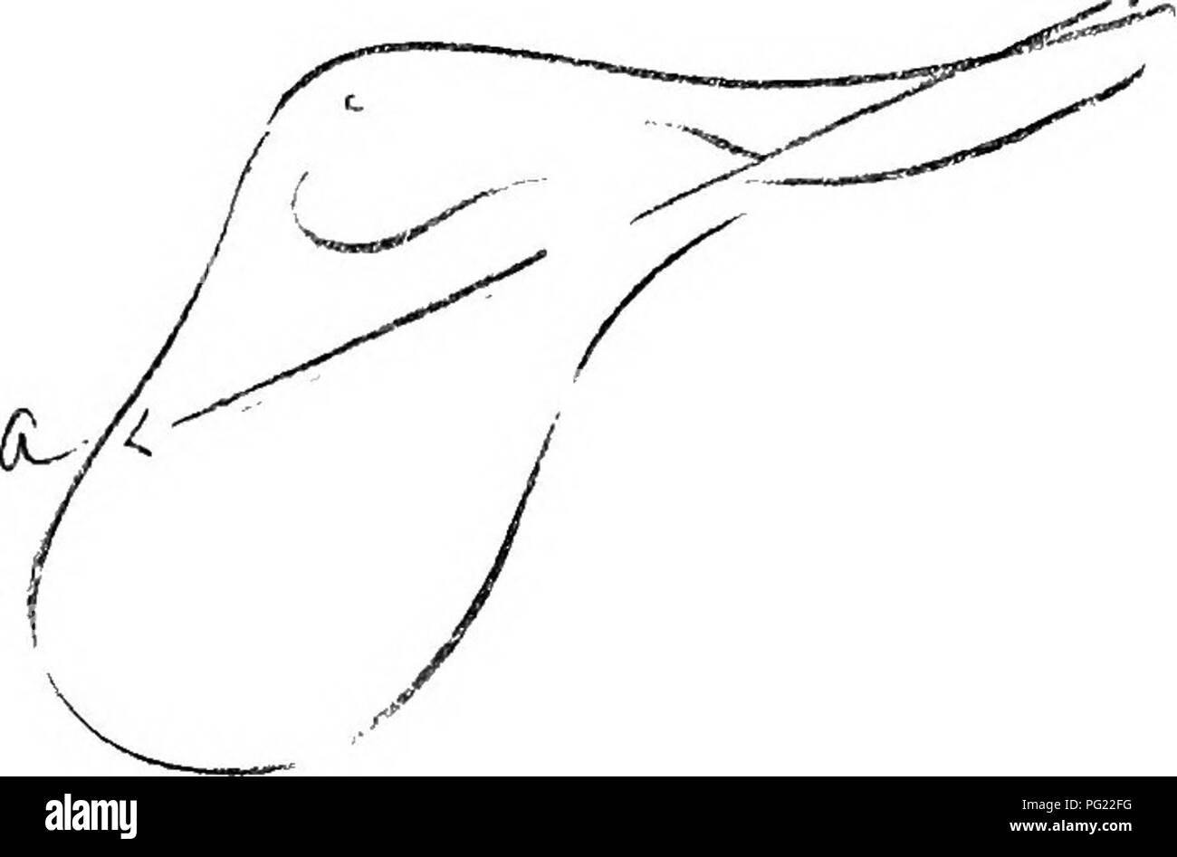 Sore Backs High Resolution Stock Photography and Images Alamy