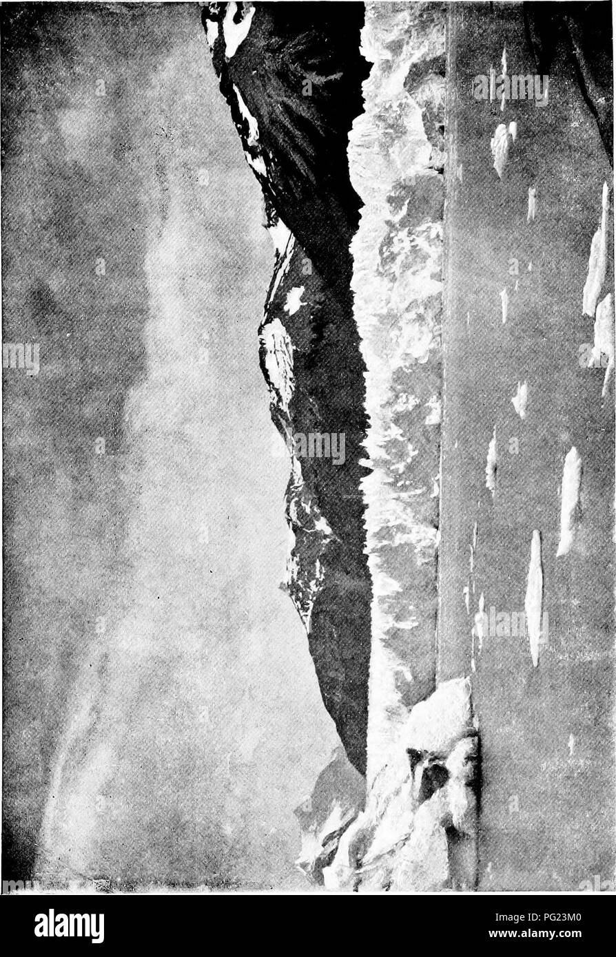 . Through the heart of Patagonia. Natural history. o a, w H in O J Q Qi W u w b. Please note that these images are extracted from scanned page images that may have been digitally enhanced for readability - coloration and appearance of these illustrations may not perfectly resemble the original work.. Prichard, Hesketh Vernon Hesketh, 1876-1922; Moreno, Francisco Pascasio, 1852-1919; Woodward, Arthur Smith, 1864-1944; Thomas, Oldfield, 1858-1929; Britten, James, 1846-1924; Rendle, A. B. (Alfred Barton), 1865-1938; Millais, John Guille, 1865-1931, illus; Saville, Marshall H. (Marshall Howard), 1 Stock Photo