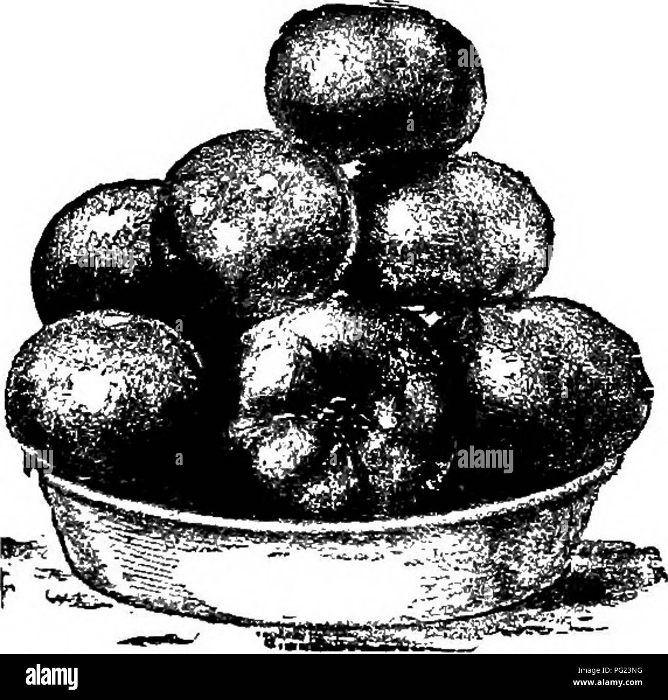 Manual Of Gardening A Practical Guide To The Making Of Home Grounds And The Growing Of Flowers Fruits And Vegetables For Home Use Gardening Manual Of Gardening A Practical Guide To The Making Of Home Grounds And The Growing Of Flowers Fruits And Vegetables For Home Use Gardening