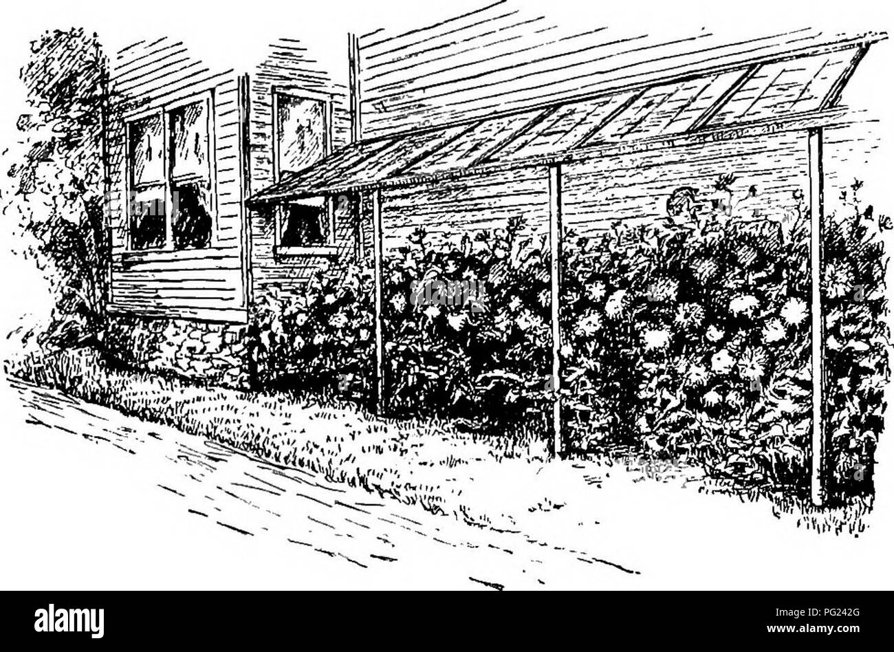 Featured image of post Gardening At Home Drawing
