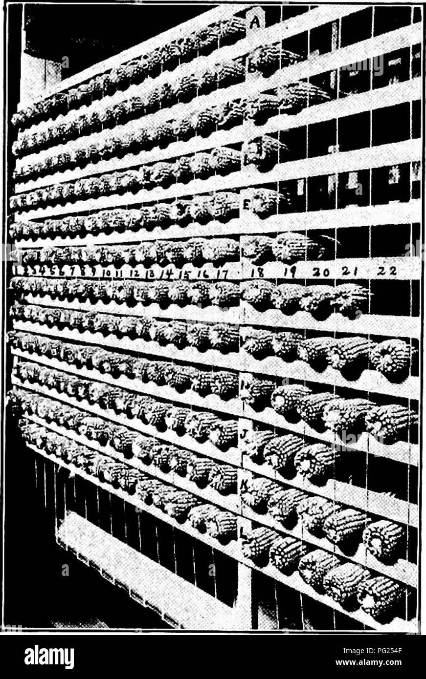 Field of tall t Black and White Stock Photos & Images - Alamy