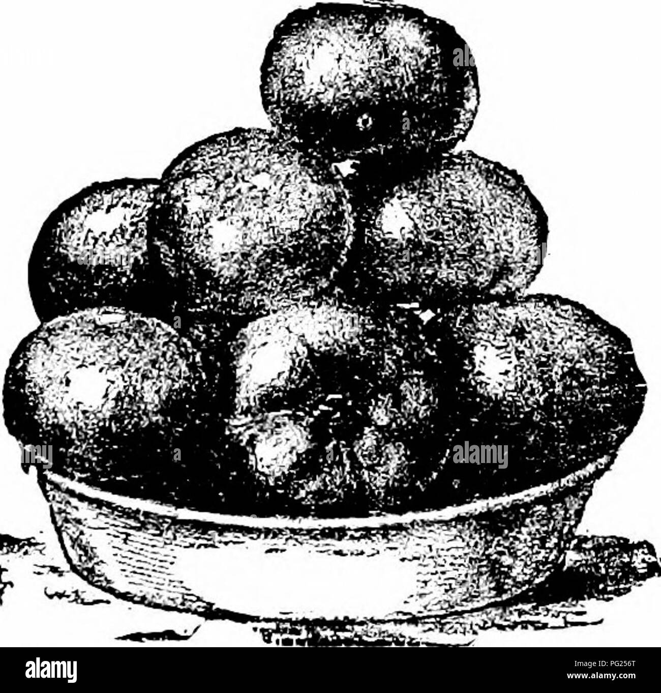 Manual Of Gardening A Practical Guide To The Making Of Home Grounds And The Growing Of Flowers Fruits And Vegetables For Home Use Gardening Manual Of Gardening A Practical Guide To The Making Of Home Grounds And The Growing Of Flowers Fruits And Vegetables For Home Use Gardening