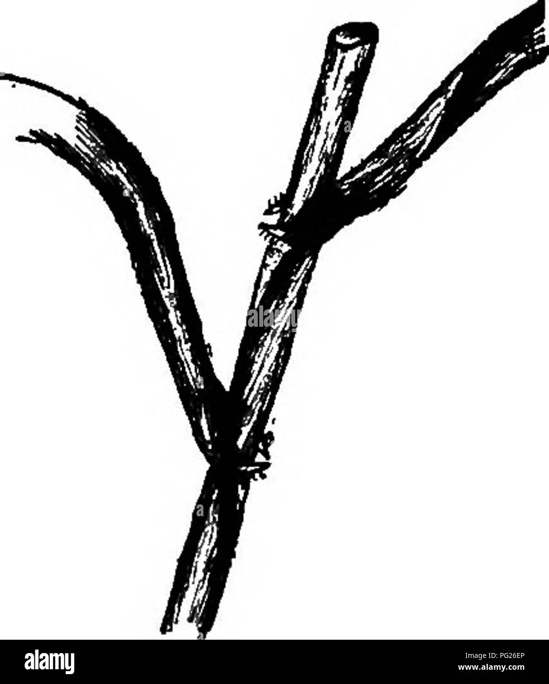 Rule 34 hi-res stock photography and images - Page 2 - Alamy