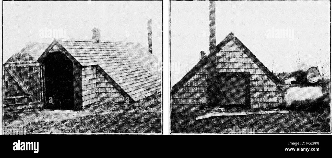 . Principles and practice of poultry culture . Poultry. Fi&lt;;. .(O. Iiroock-r house of Farrer brothers. Wvst Xorwell, Mas.^.. Fig. 41. H. D. Smith's incubator cellar; Fig. 42. Oil barrel and tank connect only the roof aboveground with faucet inside. (Rear of F&quot;ig. 41) FEATURES OF THE SOUTH SHORE SOFT-ROASTER DISTRICT 47. Please note that these images are extracted from scanned page images that may have been digitally enhanced for readability - coloration and appearance of these illustrations may not perfectly resemble the original work.. Robinson, John H. (John Henry), 1863-1935. Boston Stock Photo