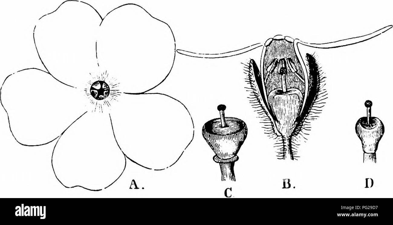 This handbook, based on Hermann Müller's work, discusses the ...