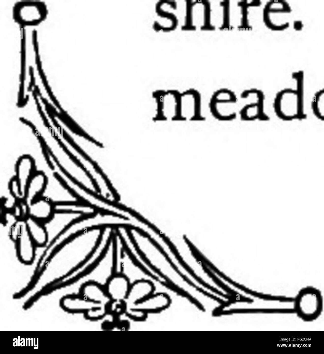 . The language of flowers: or, Floral emblems of thoughts, feelings, and sentiments ... Flower language. THE CROWN IMPERIAL. &quot; And presently the Crocus heard their greeting, and awoke, And donned with care her golden robe and emerald-coloured cloak; ******* The Crocus brought her sisters too, the purple, pied, and white ; And the redbreast warbled merrily above the flowerets bright.&quot; Bernard Barton looked upon it as an emblem of the leaf which the dove brought to Noah in the ark, when hoping for the subsidence of the waters, and thus addressed it:— &quot; Thine is the flower of hope, Stock Photo