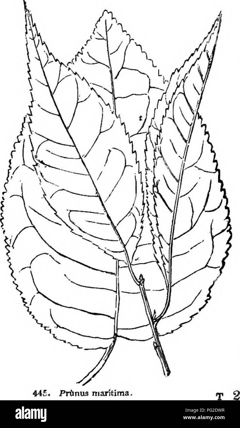 Ae 7 High Resolution Stock Photography And Images Alamy