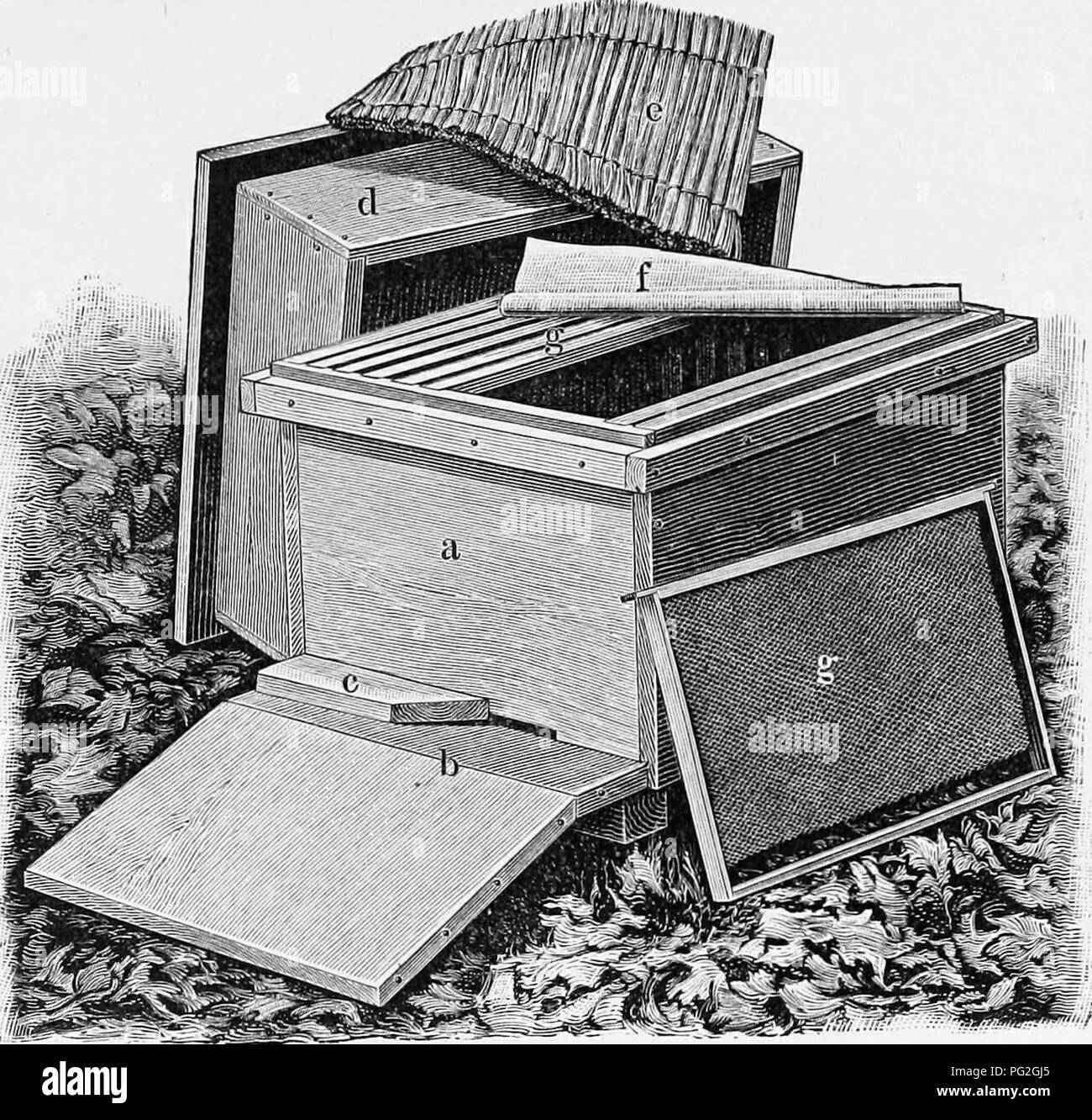 Bo hives hires stock photography and images Alamy