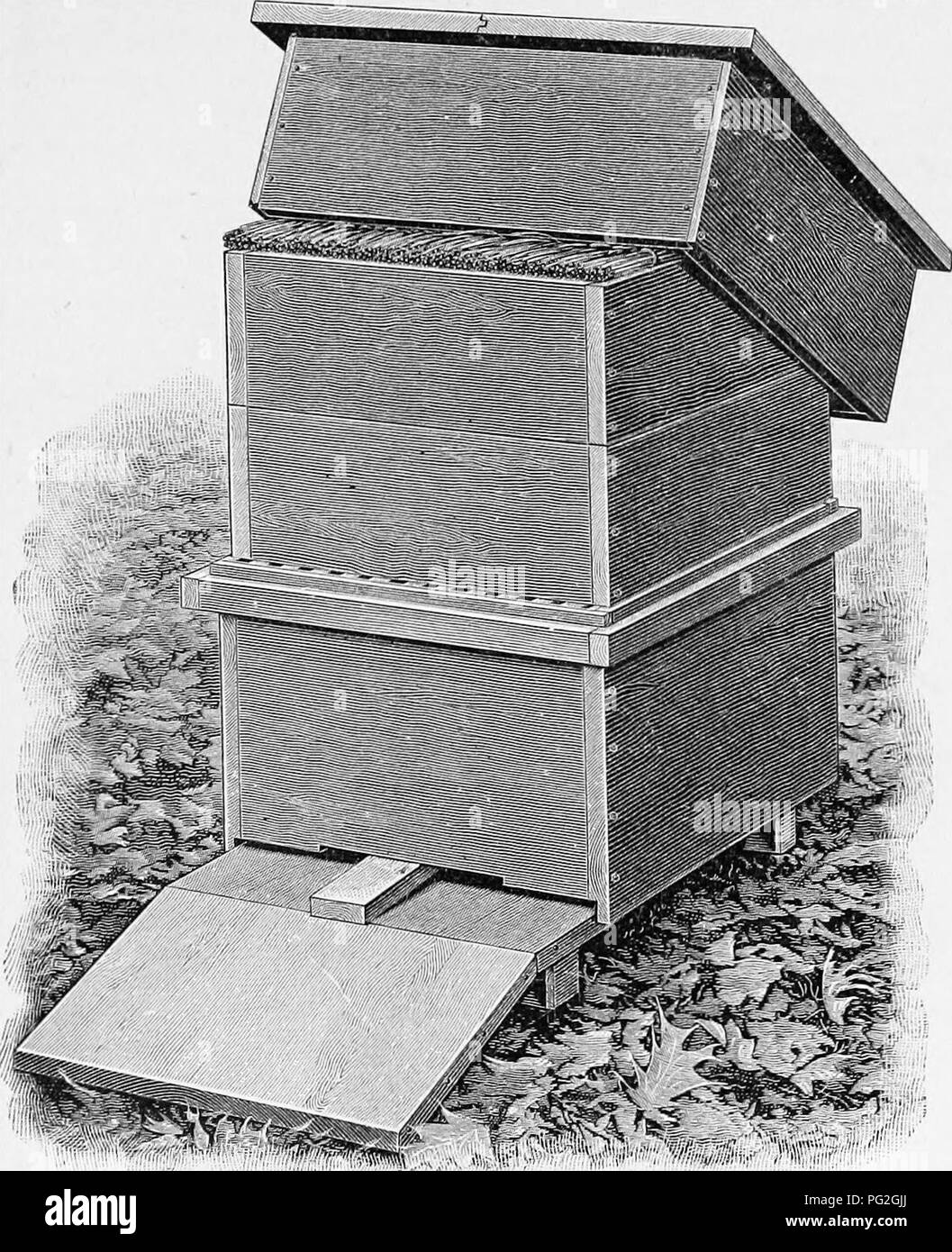 Cleaning bee hive hires stock photography and images Alamy