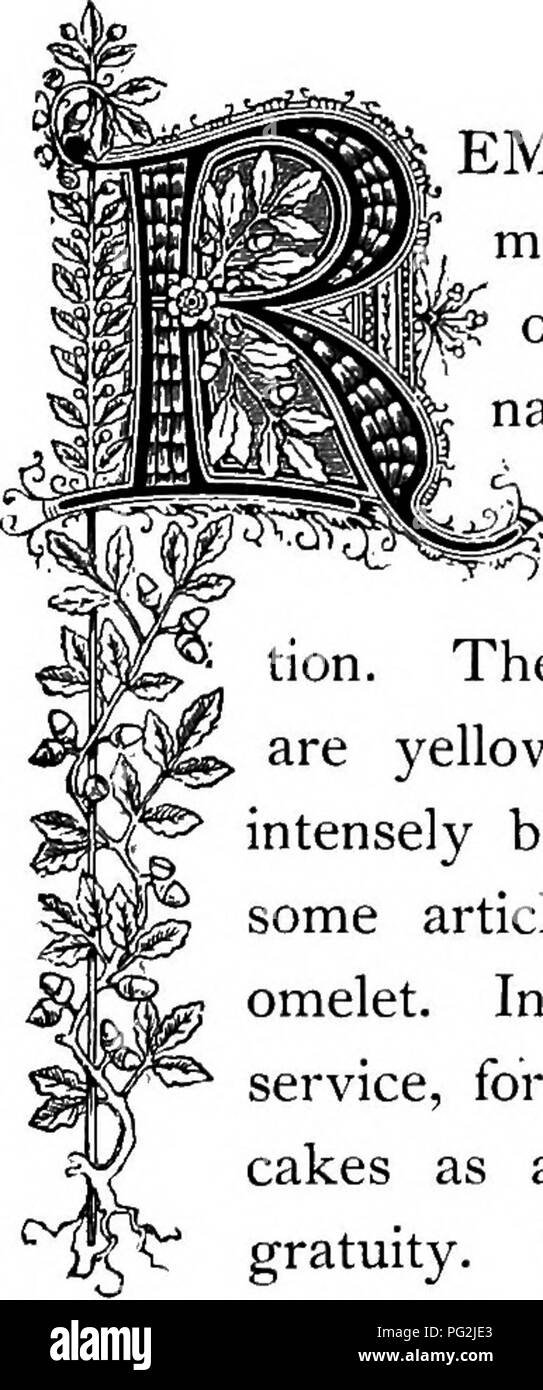 Naturalized plant Black and White Stock Photos & Images Alamy