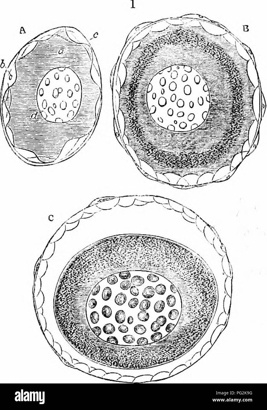 Semifluid High Resolution Stock Photography and Images - Alamy