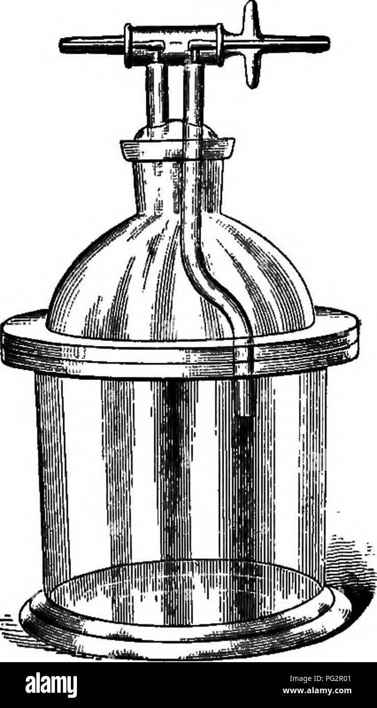 . Laboratory work in bacteriology. Bacteriology. Fig. 52. Fig. 53- Figs. 51-53. The author's apparatus tor the culture of anaerobic bacteria. Fig. 51. Bottle for tube cultures. Fig. 52. Apparatus for Petri dishes or tubes.—gas or pyrogal- late method. Fig. 53. Apparatus for plates or tubes,—gas, pyrogallate or vacuum method.. Please note that these images are extracted from scanned page images that may have been digitally enhanced for readability - coloration and appearance of these illustrations may not perfectly resemble the original work.. Novy, Frederick George, 1864- . Ann Arbor [Mich. ]  Stock Photo