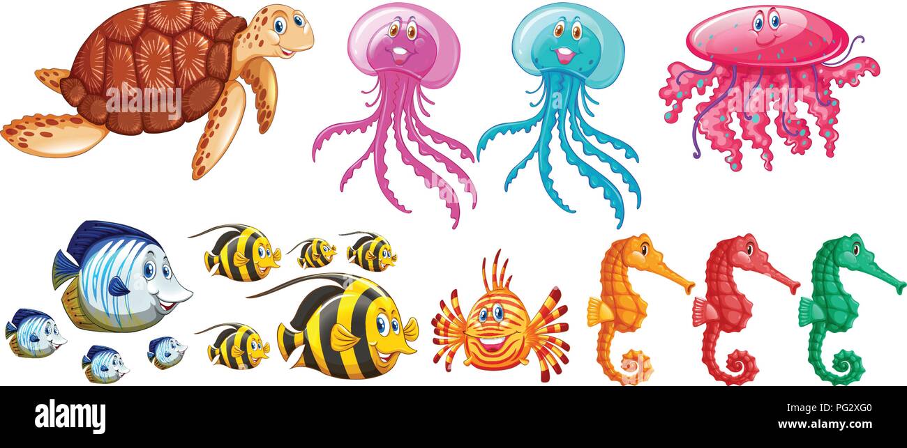A set of sea animals illustration Stock Vector Image & Art - Alamy