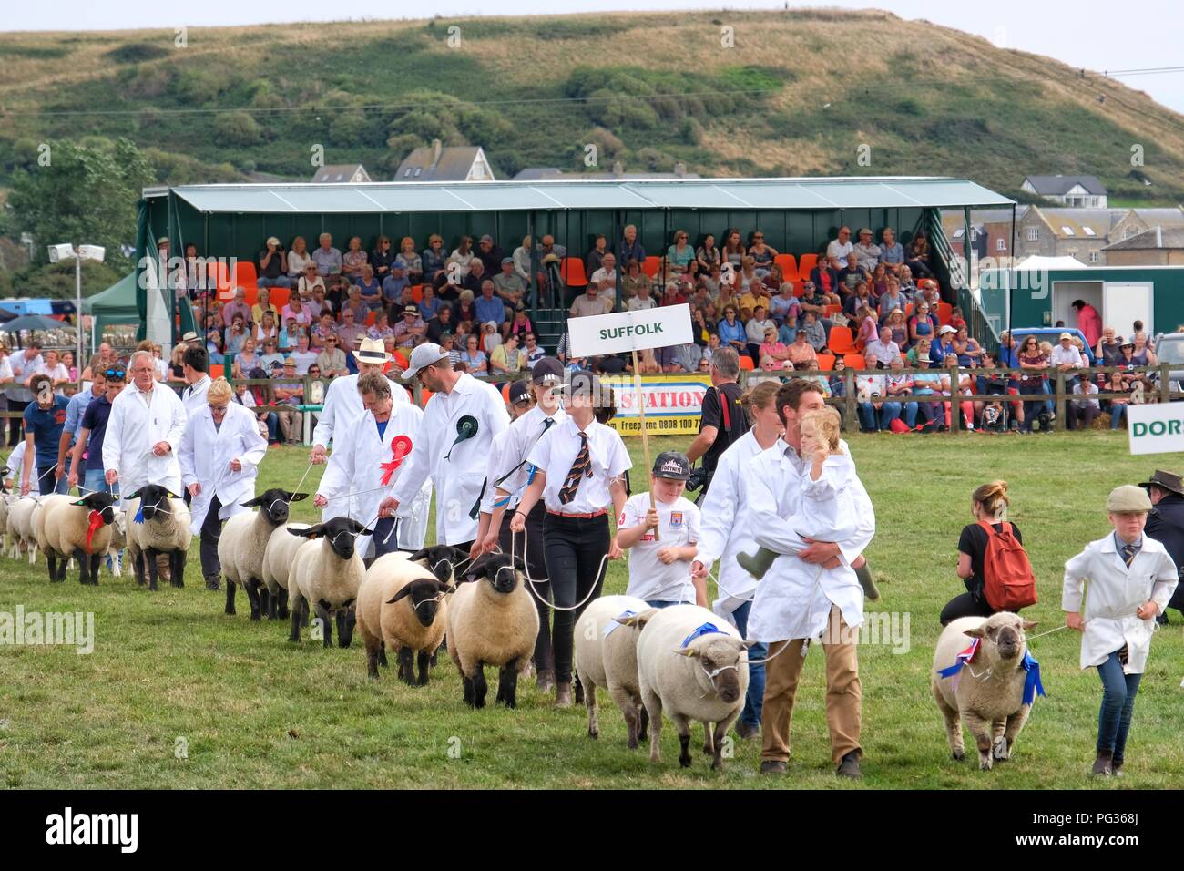 Melplash Show, Bridport, Dorset, UK. 23 August 2018. Prize winning livestock are paraded at the end of the Melplash show in Bridport, Dorset.The one day agricultural show is a showcase and celebration for local farmers, producers, growers and craftspeople and is the South West’s premier agricultural exhibition. Credit Tom Corban/Alamy Live News Stock Photo