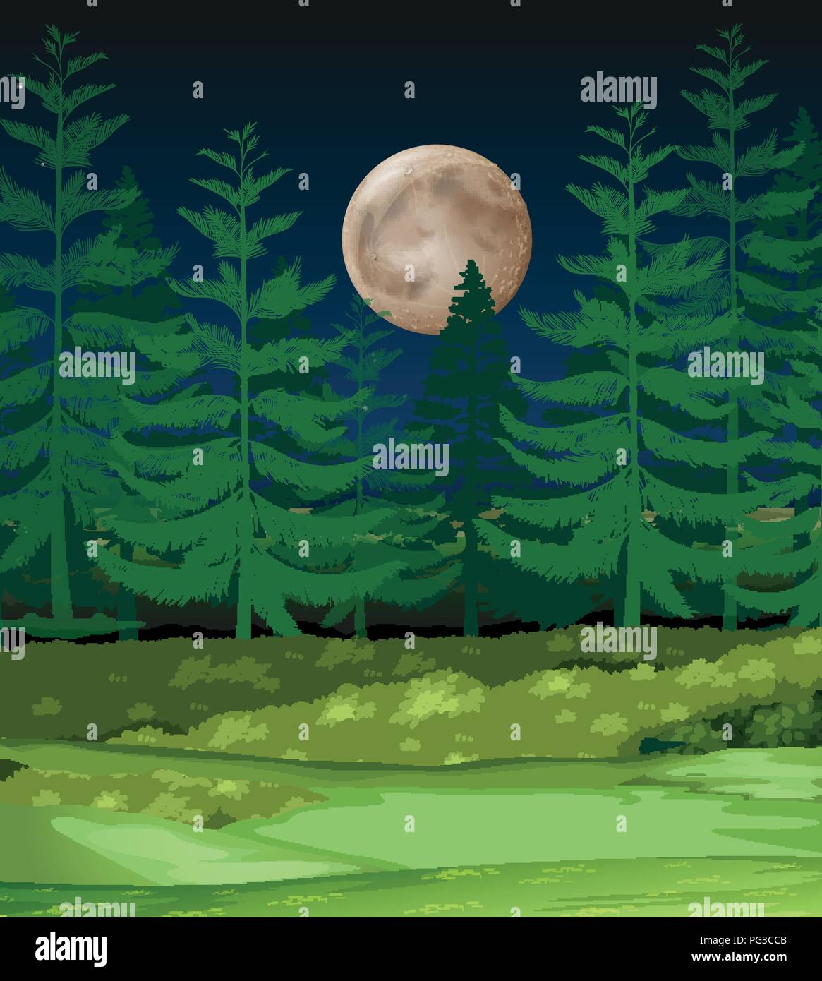 A forest at night illustration Stock Vector