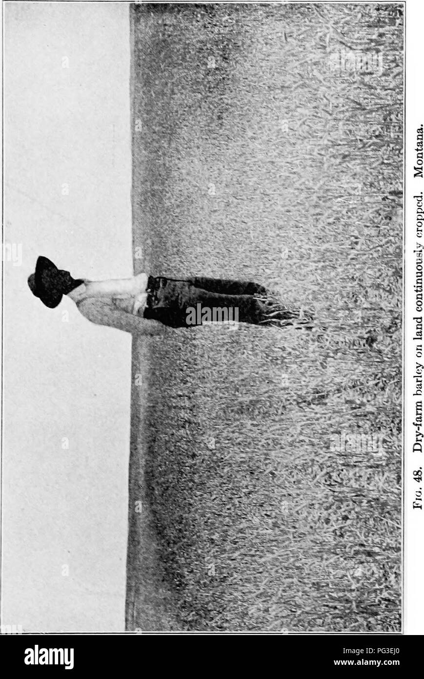 . Dry-farming; a system of agriculture for countries under a low rainfall. Dry farming. . Please note that these images are extracted from scanned page images that may have been digitally enhanced for readability - coloration and appearance of these illustrations may not perfectly resemble the original work.. Widtsoe, John Andreas, 1872-1952. New York, The Macmillan company Stock Photo