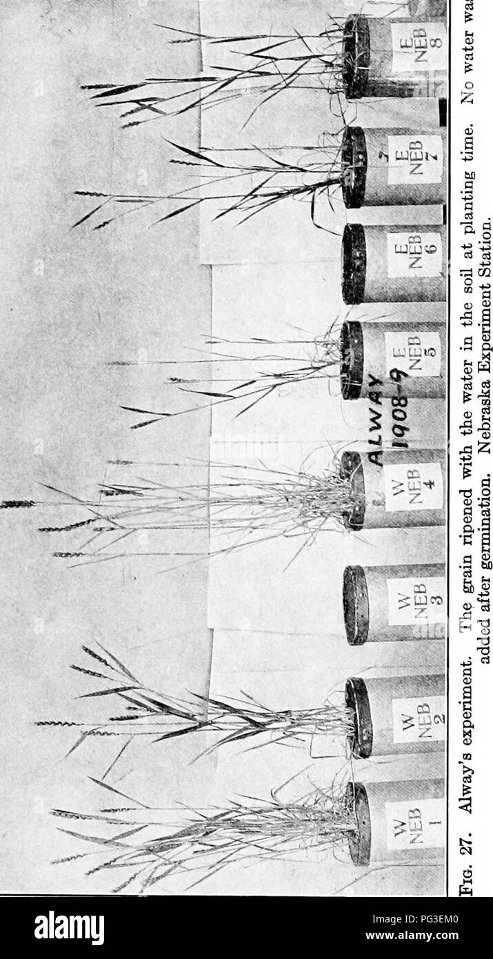 . Dry-farming; a system of agriculture for countries under a low rainfall. Dry farming. . Please note that these images are extracted from scanned page images that may have been digitally enhanced for readability - coloration and appearance of these illustrations may not perfectly resemble the original work.. Widtsoe, John Andreas, 1872-1952. New York, The Macmillan company Stock Photo