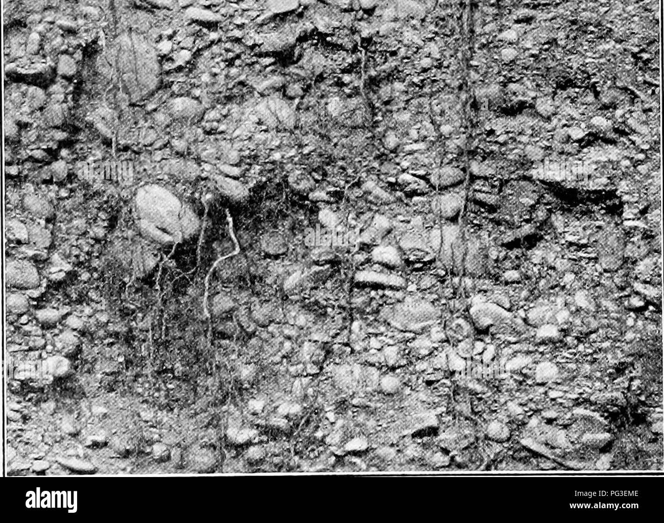 Soil 4 Black and White Stock Photos & Images - Alamy