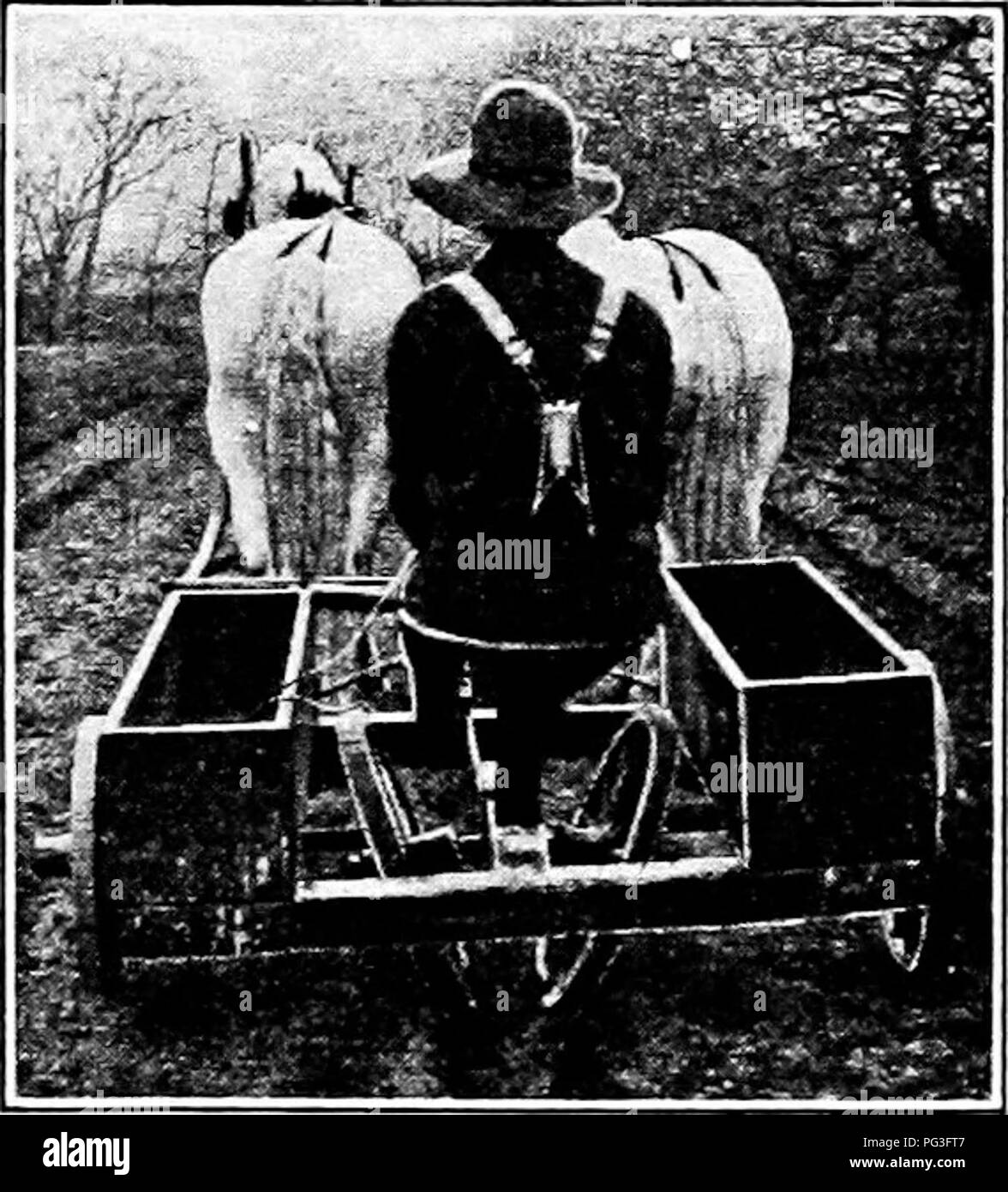 . Plant propagation : greenhouse and nursery practice . Plant propagation. METHODS 01-- GRAFTING 237 In the furrow method (Fig. 180) a furrow eight inches deep is made with a turning plow, the grafts placed against the vertical side, and soil plowed back against them. The work is finished either by men tramping the earth against the grafts individually or by machine (Fig. 193} with two wheels set obliquely so as to press the soil downward and against the grafts when drawn by horses down the rows. Planting machines (Fig. 100) are similar to those used for transplanting cabbage, strawberry, swee Stock Photo