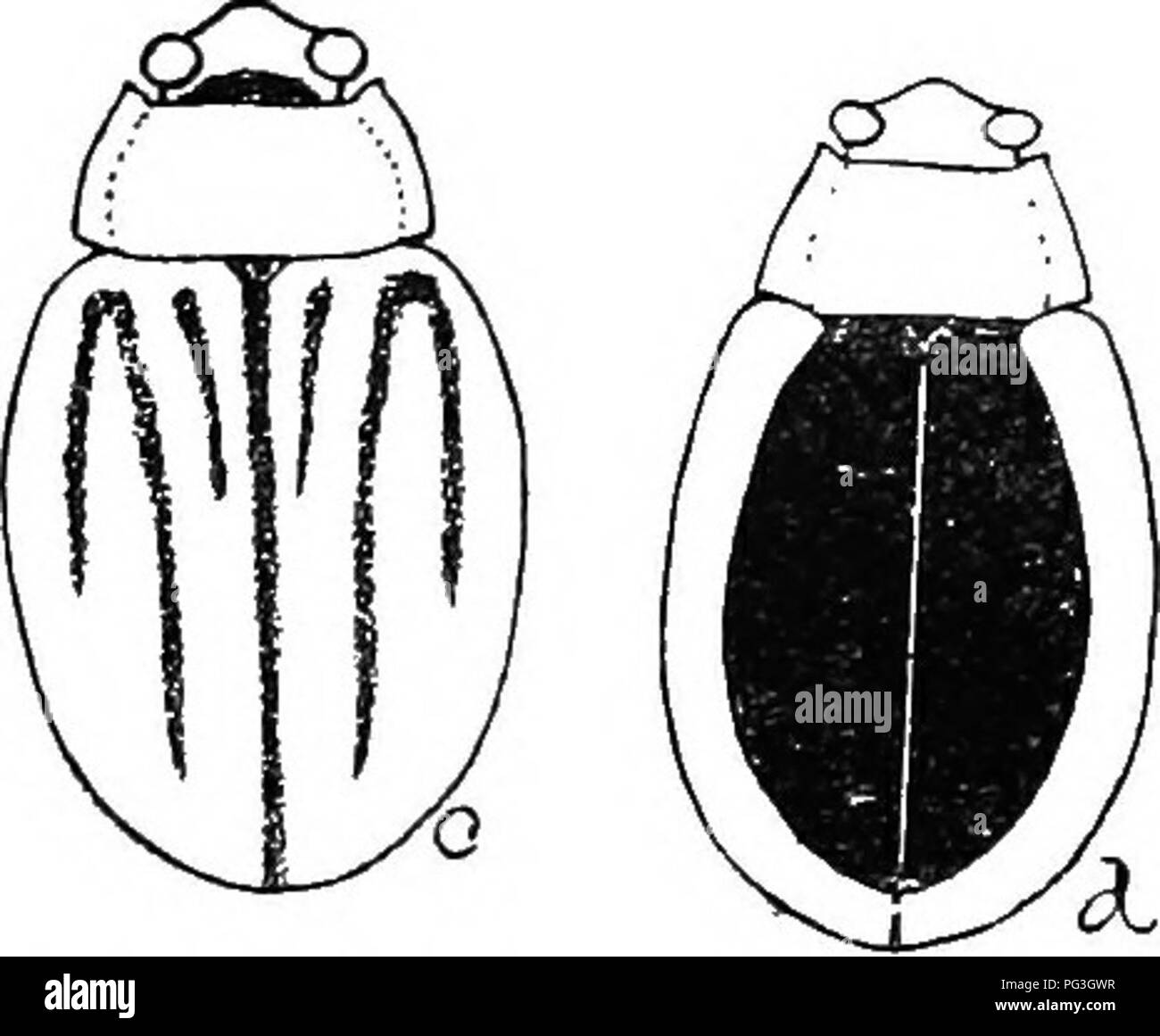 In 518 Black And White Stock Photos Images Alamy - 