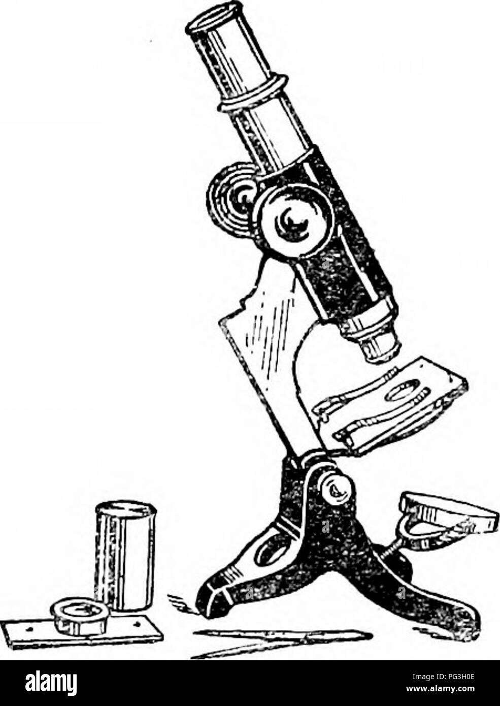 Objectives microscope hi-res stock photography and images - Alamy