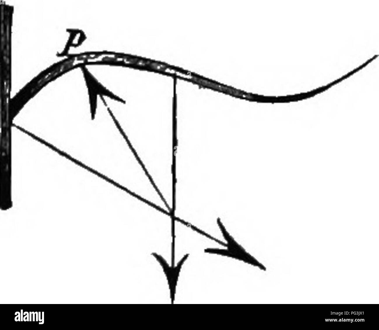 Mucli Curved flowering branch hi-res stock photography and images - Alamy