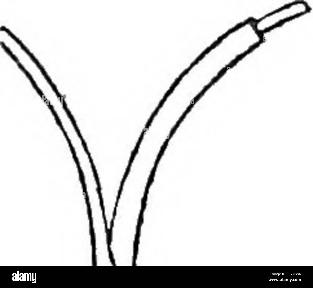 intestinal colic treatment