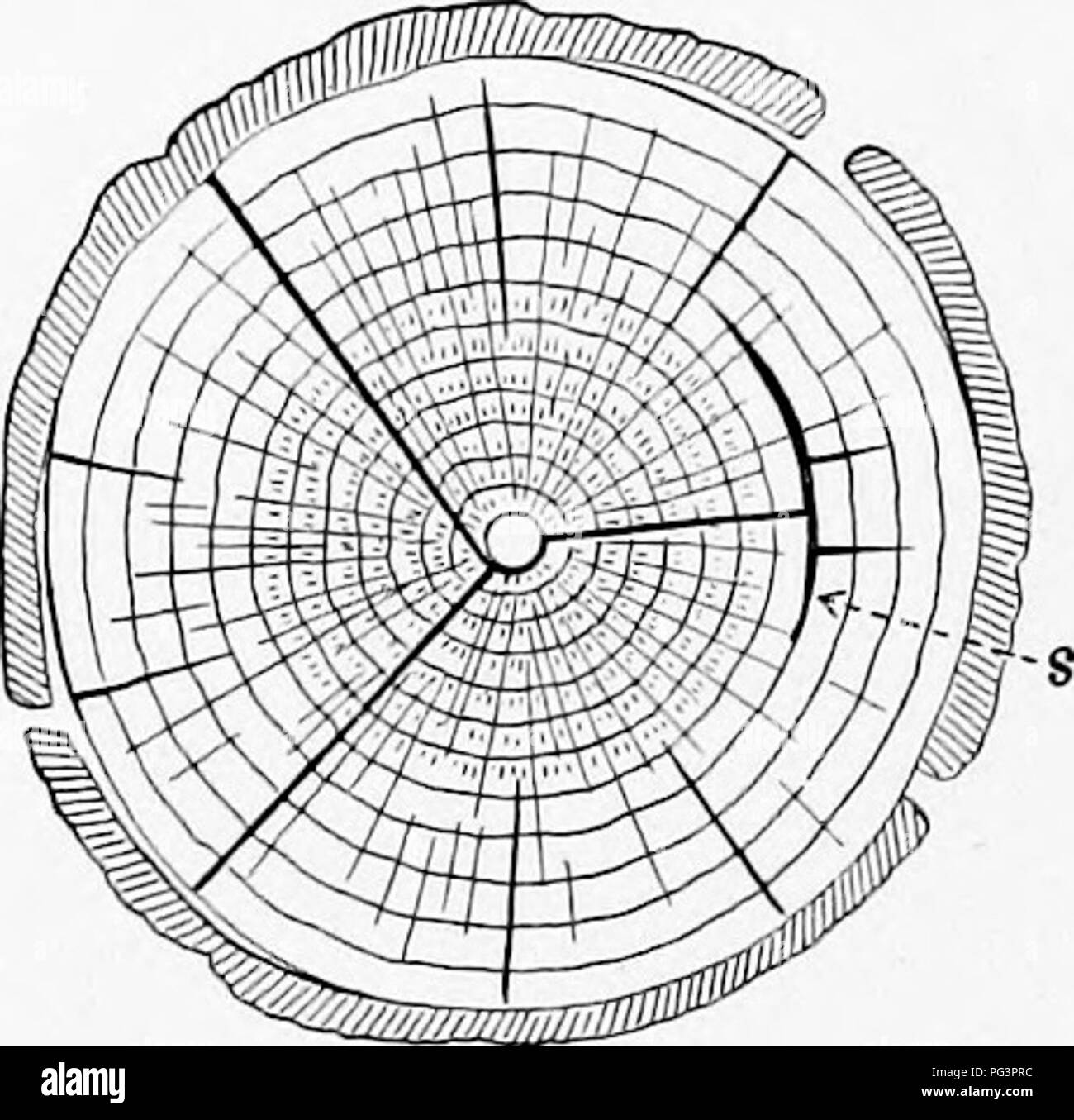 This text focuses on basic woodworking skills, with an emphasis on the ...