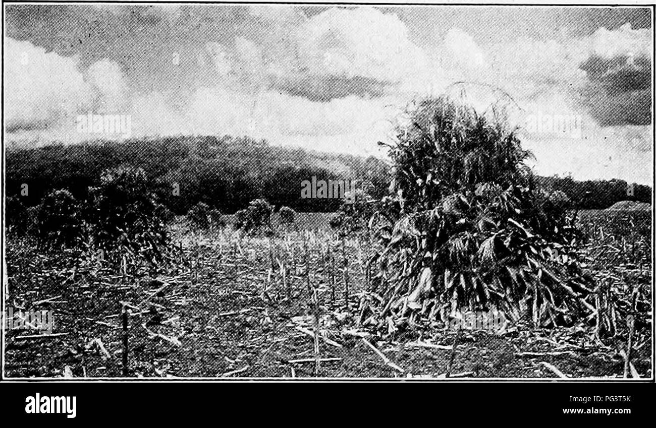 Farms produces Black and White Stock Photos & Images - Alamy