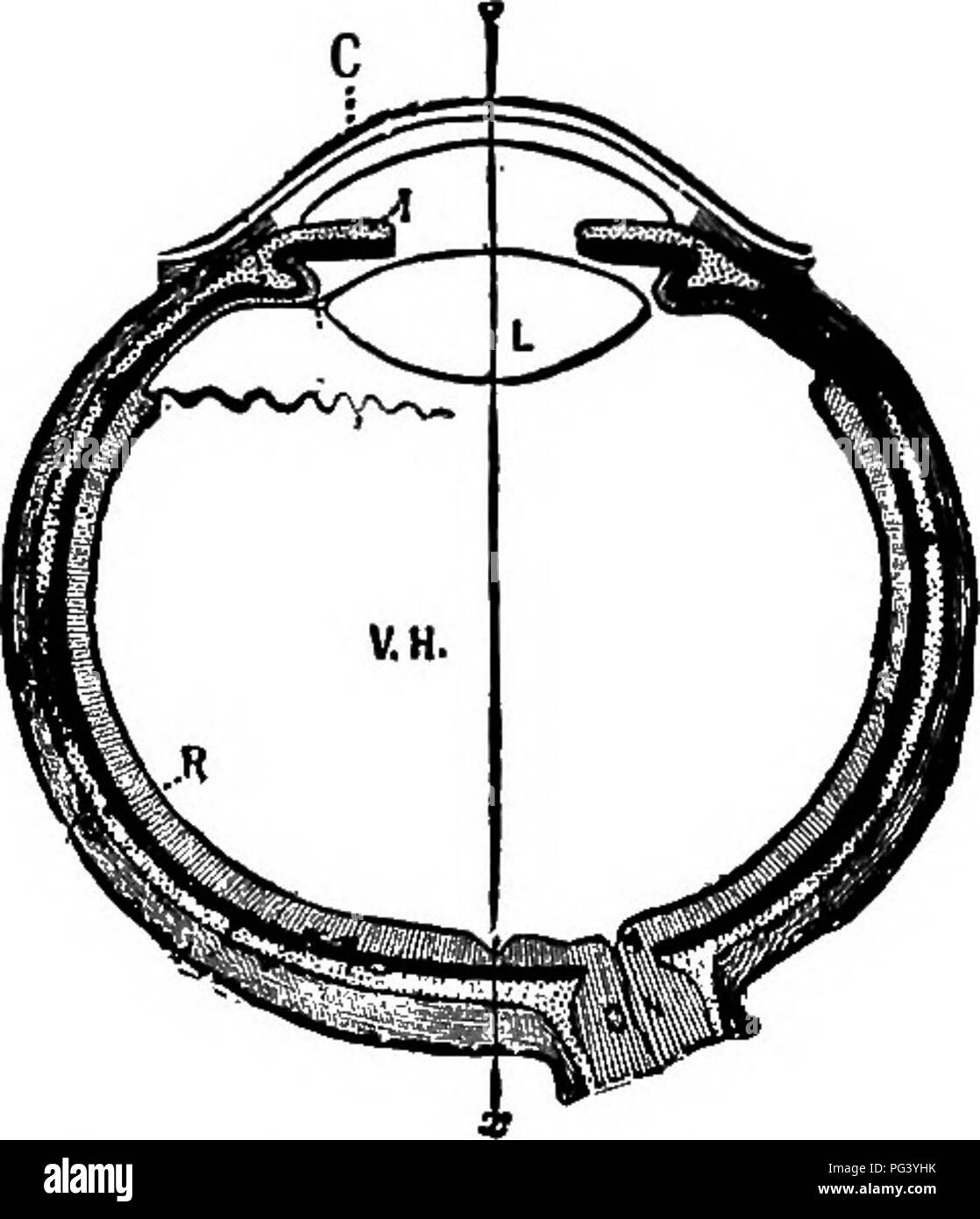 Elementary Biology Animal And Human Biology Additional