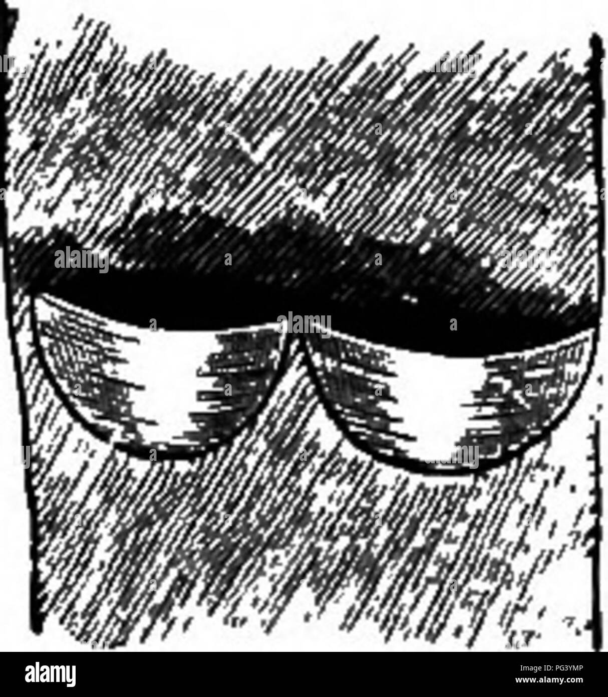 . Elementary biology, animal and human. Biology. A=Surface view, B