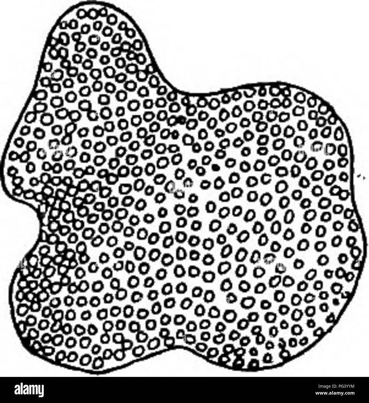 My Image 26