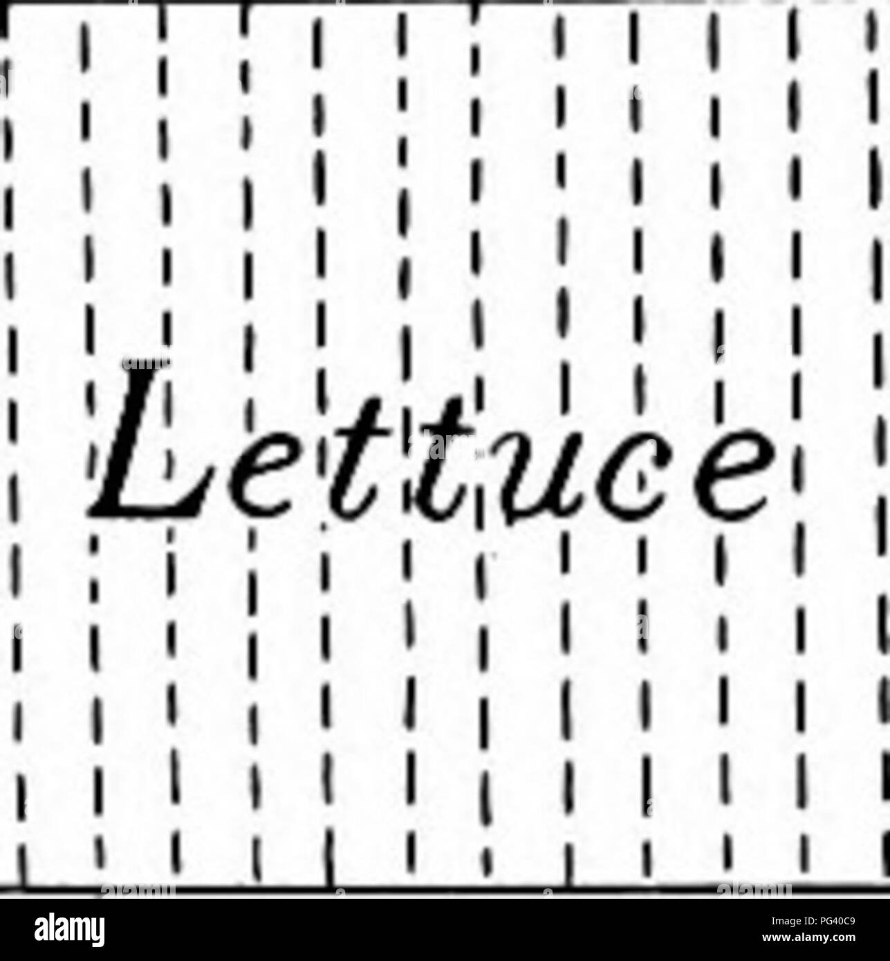 Four plant pots Black and White Stock Photos & Images Alamy