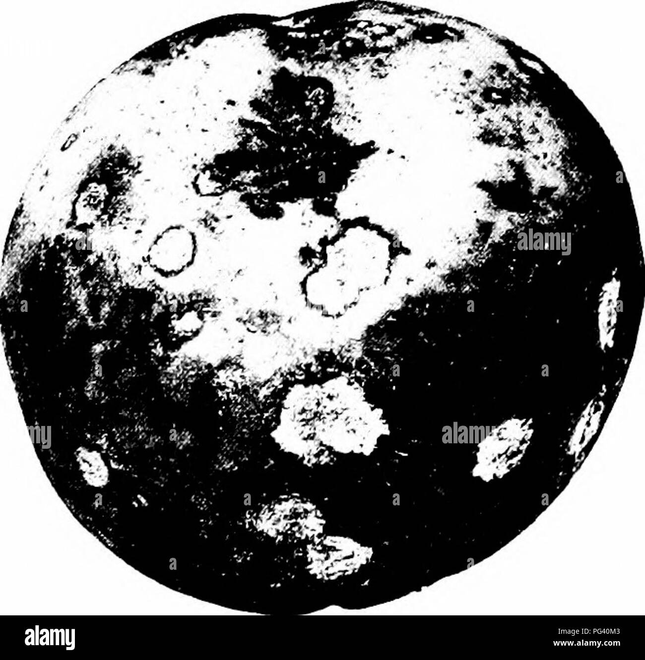 Manual Of Fruit Diseases Fruit 118 MANUAL OF FRUIT DISEASES And manual-of-fruit-diseases-fruit-118-manual-of-fruit-diseases-and