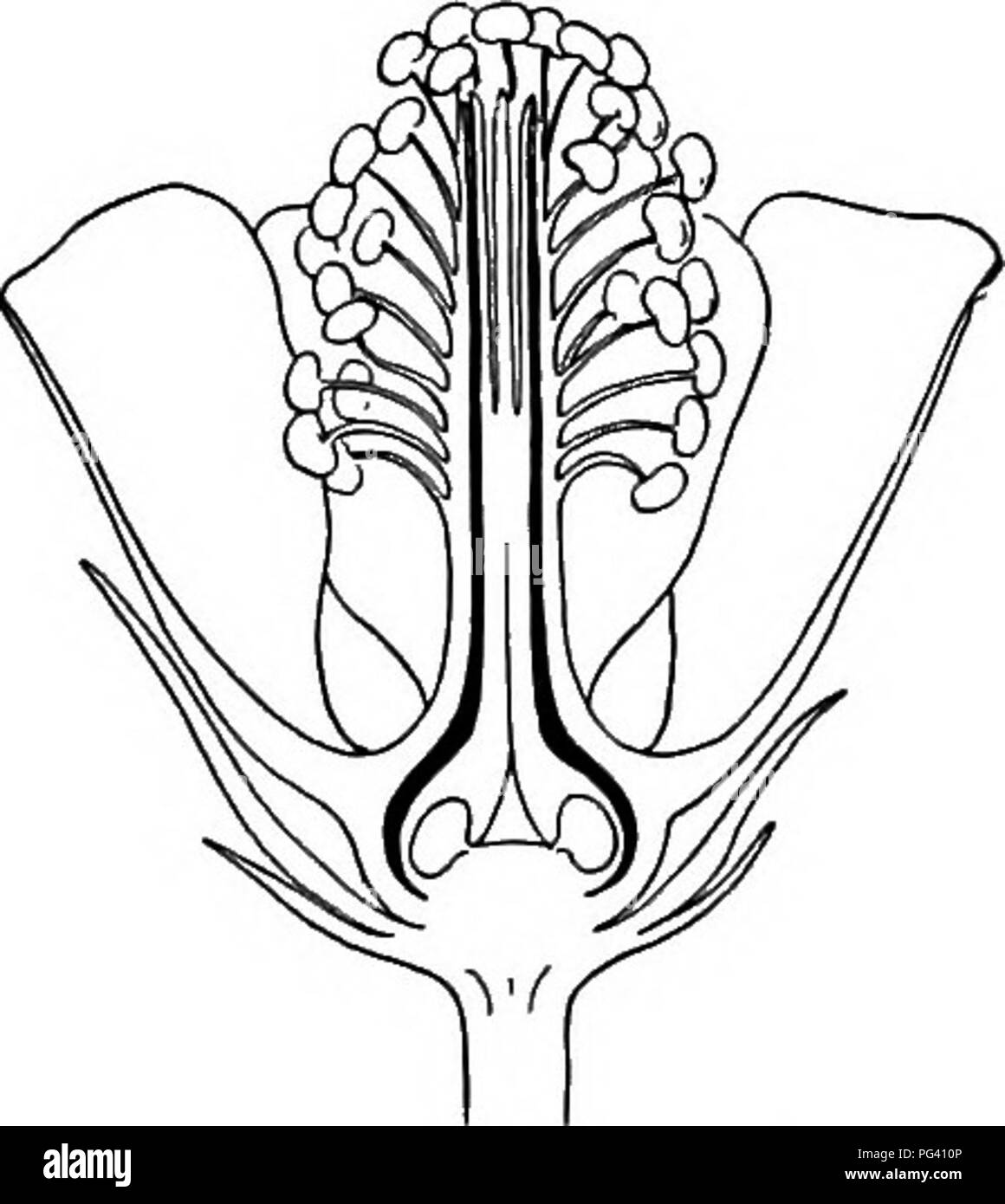 98 274 Black and White Stock Photos & Images Alamy