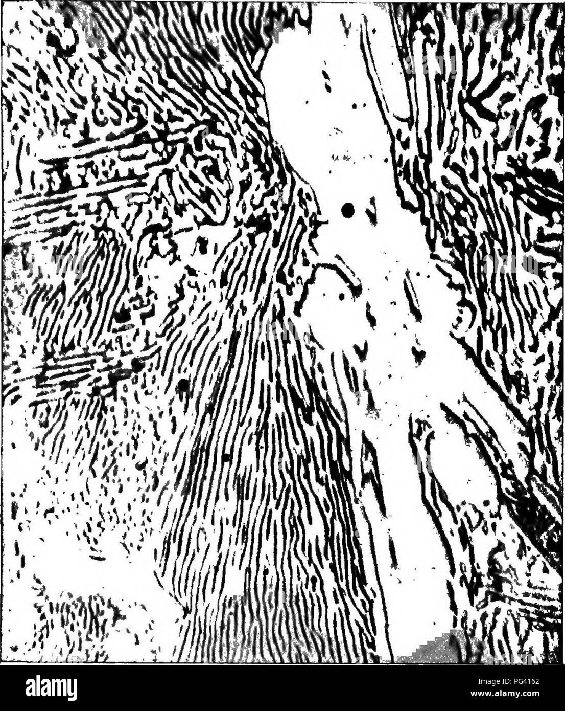 Chemical appearances needle vs crystalline
