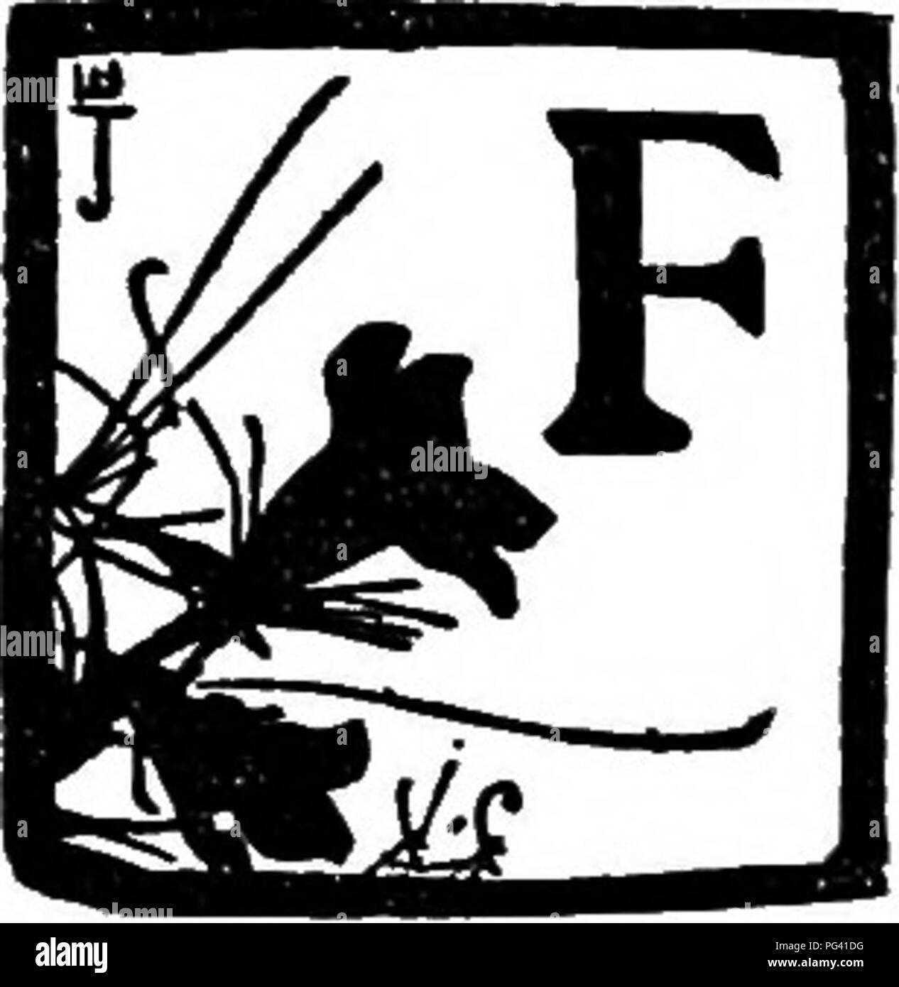 . Next to the ground; chronicles of a countryside. Natural history. The Contents. oreword xi I Ploughing ... J // Wasps and Ants . j^ III The Ragged Month 6i IV The Hog . . 81 V Shooting joj VI ^uail and Partridge 123 VII The Possum i^y VIII Night Noises //j IX The Big Snow ipj X Clearing 2ig XI The Horse 24.J XII The Oaks 275 XIII Fox-Hunting 2gi XIV The Cow 311 XV Feathered Folk JJ7 XVI Insects j6j. Please note that these images are extracted from scanned page images that may have been digitally enhanced for readability - coloration and appearance of these illustrations may not perfectly res Stock Photo