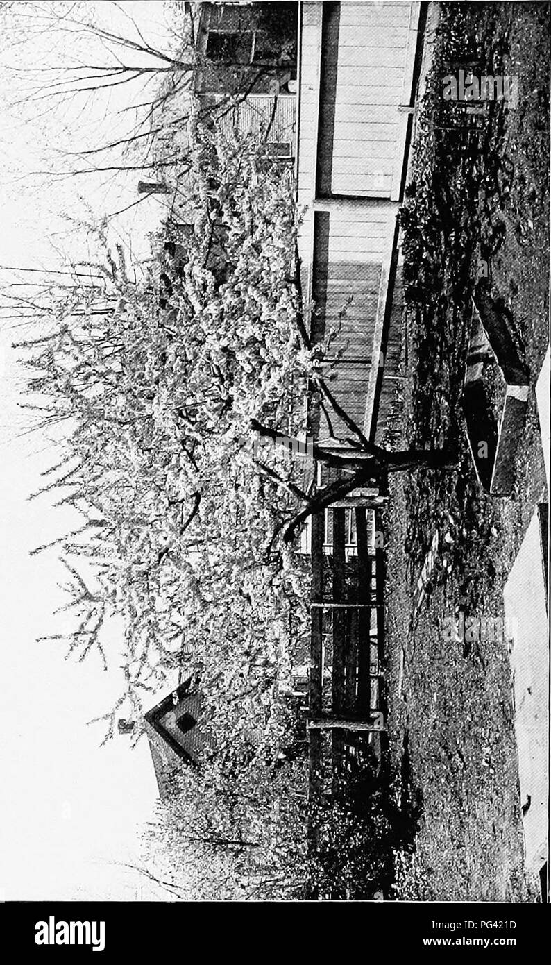 This image from a nature study text discusses the concepts of life and natural systems, focusing on the study of various life forms and ecosystems through nature observation. Stock Photo