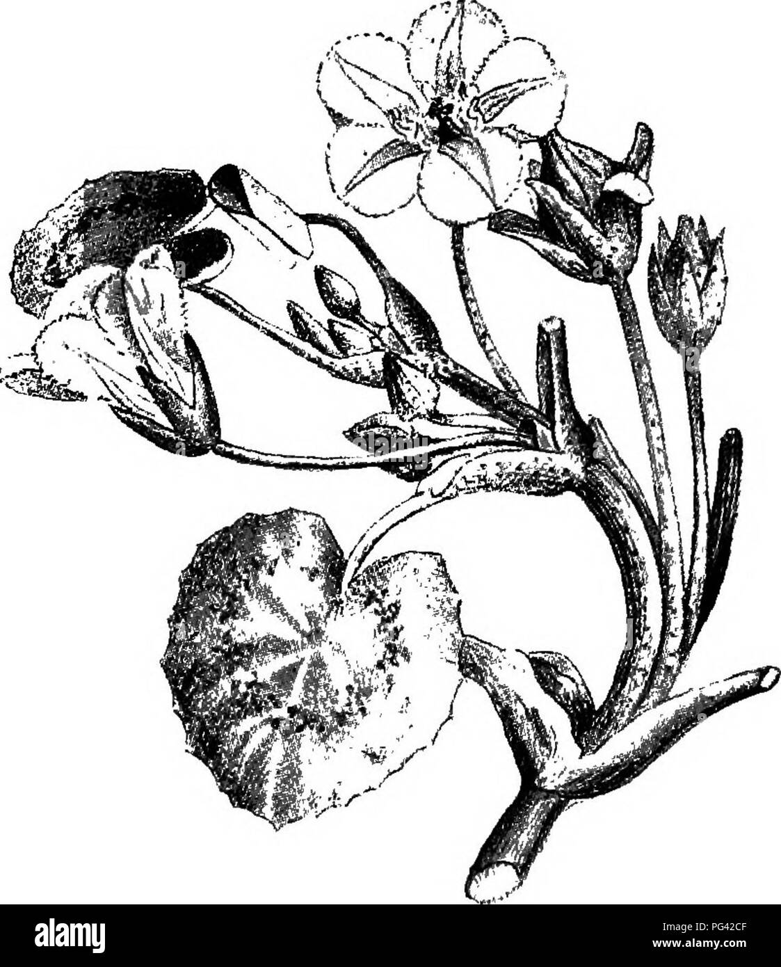 Lovely neighbourhood Cut Out Stock Images & Pictures Alamy