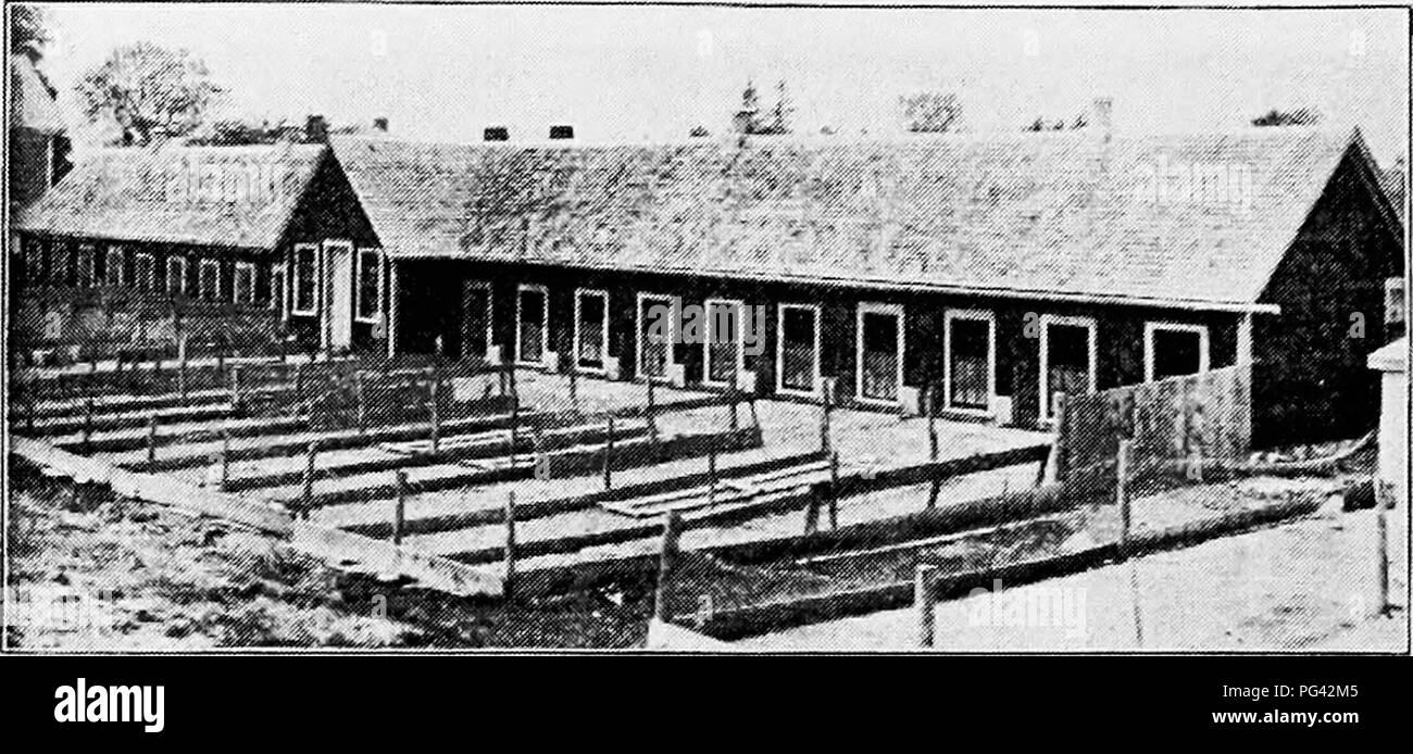 This image shows a long brooder house, a crucial structure in poultry ...