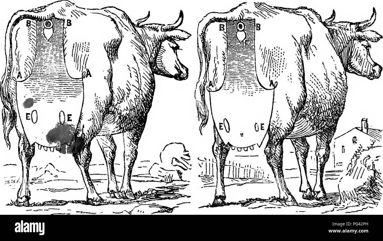 This treatise focuses on identifying the quality and quantity of milk ...