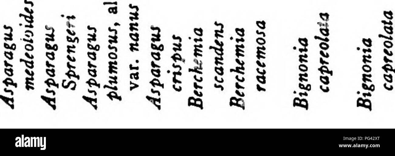 . Vines and how to grow them : a manual of climbing plants for flower, foliage and fruit effects, both ornamental and useful, including those shrubs and similar forms that may be used as vines . Climbing plants. 290 u e h e R s ^ 2 â¢S.a 530 O P?2 a' Â°Z n â¢s = S g   to ft â¢-SS IS ^ O E ft C Â« O S â¢c P &quot; u Â£ 1^ â¢Â° a ,   .g JO -i ! O S=J! -O Â§5 i' o. c T3 -g â¢25 T! .5 -C 50 Â« 11 &gt;^ b c d j^ g =a -o .5 â¢Â« 5 S K 2 J 33.S ^&quot;5 4 ft u - &gt;&gt; s â &amp;â¢Â§ (2 2- I 3-5 = ^ ftH I eH to Â« Â« .S X X .2 &quot; .2 a te S -5 Â£ S K S T3 g (S n C n C )7 ^ ,0 -S. O -S &quot;o ^  Stock Photo