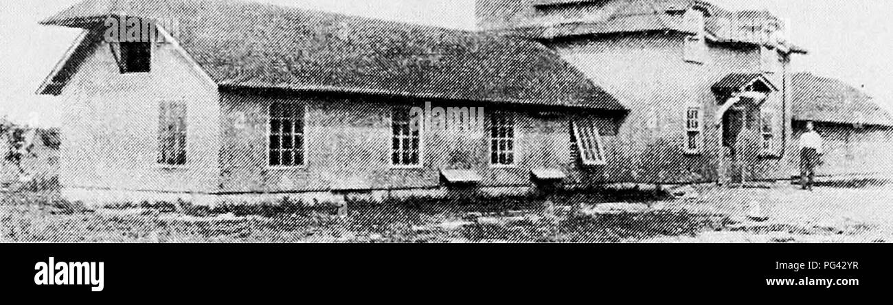 . Principles and practice of poultry culture . Poultry. Fit.;. -Jjo. Fattening and killing house al Macdonald f'ollcgc. f I'liotogiajjli from tht; crillcgc). Please note that these images are extracted from scanned page images that may have been digitally enhanced for readability - coloration and appearance of these illustrations may not perfectly resemble the original work.. Robinson, John H. (John Henry), 1863-1935. Boston ; New York : Ginn and Company Stock Photo
