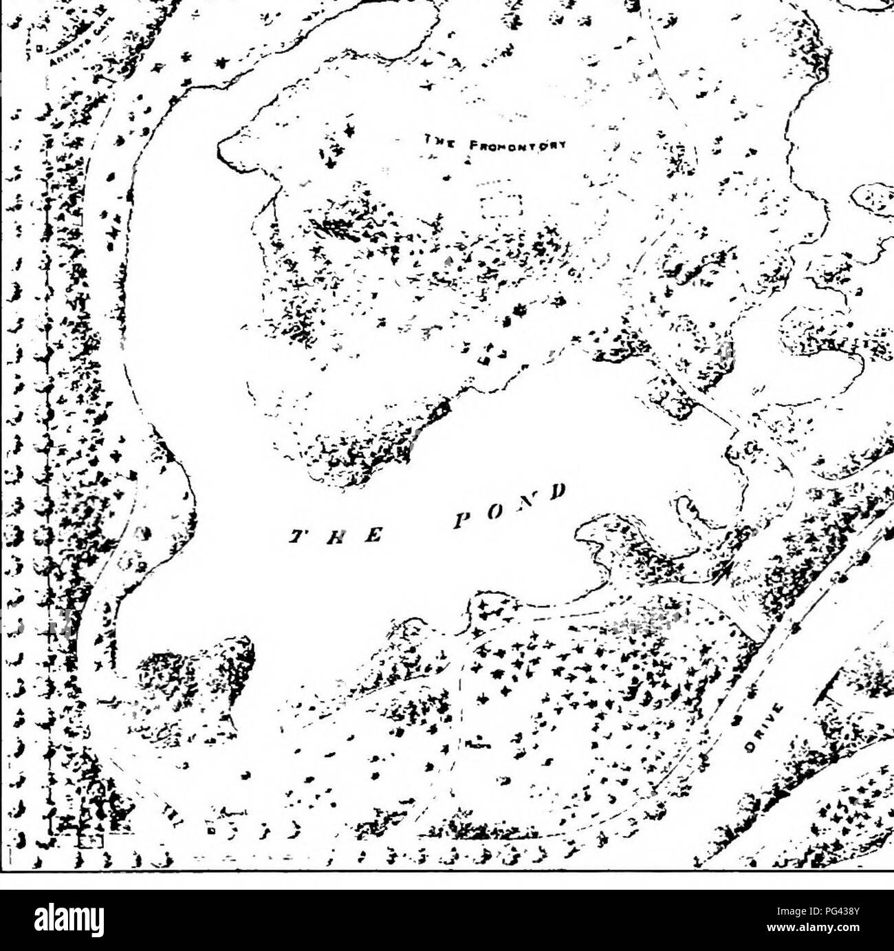 . Trees, shrubs and vines of the northeastern United States : their characteristic landscape features fully described for identification by the non-botanical reader ; together with an account of the principal foreign hardy trees, shrubs and vines cultivated in our country, and found in Central Park, New York City . Trees; Shrubs; Parks. '4' 'y^ws THE POND The arrow shows the stardng-point and the direction of the route.. Please note that these images are extracted from scanned page images that may have been digitally enhanced for readability - coloration and appearance of these illustrations m Stock Photo