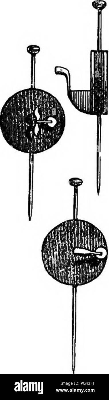 . A practical treatise on the use of the microscope, including the different methods of preparing and examining animal, vegetable, and mineral structures. Microscopes; Microscopy. 320 MANIPULATION.. Fig. 217. instead of a larger piece. In the fifth is ex- hibited the method of mounting, so that the side of the object as well as the front may be examined. When it is necessary that both sides of an object should be viewed, a disc, an inch or more in diameter, may be used, out of which a small disc has been punched, as shown by fig. 218, but not exactly in the centre; through the broad part the p Stock Photo