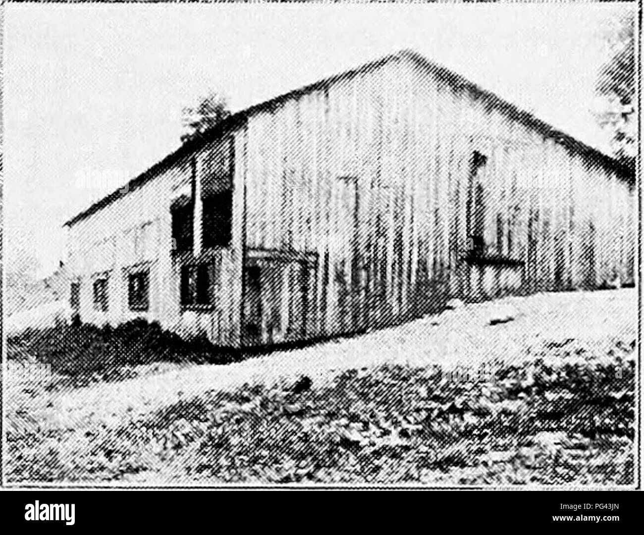 . Principles and practice of poultry culture . Poultry. 1''k;. t'oS. l-'roiu view of house, open Fig. 209. Rear of Fii;. 208. liasemcni both front atid rear, at West Virginia scratciiing shed. (Photographs from I'xperiinent .'Elation the sialioii). Please note that these images are extracted from scanned page images that may have been digitally enhanced for readability - coloration and appearance of these illustrations may not perfectly resemble the original work.. Robinson, John H. (John Henry), 1863-1935. Boston ; New York : Ginn and Company Stock Photo