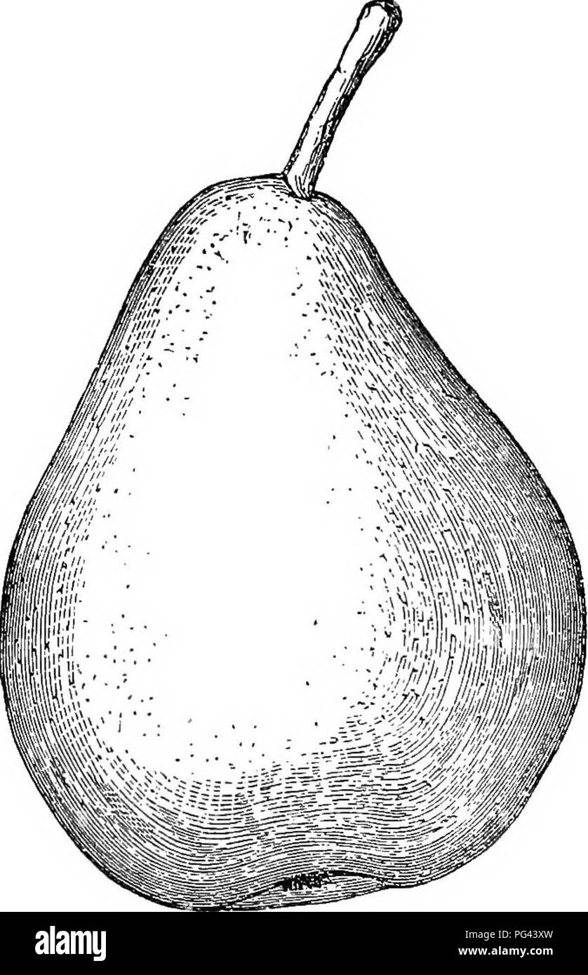 Topsham maine Black and White Stock Photos & Images Alamy