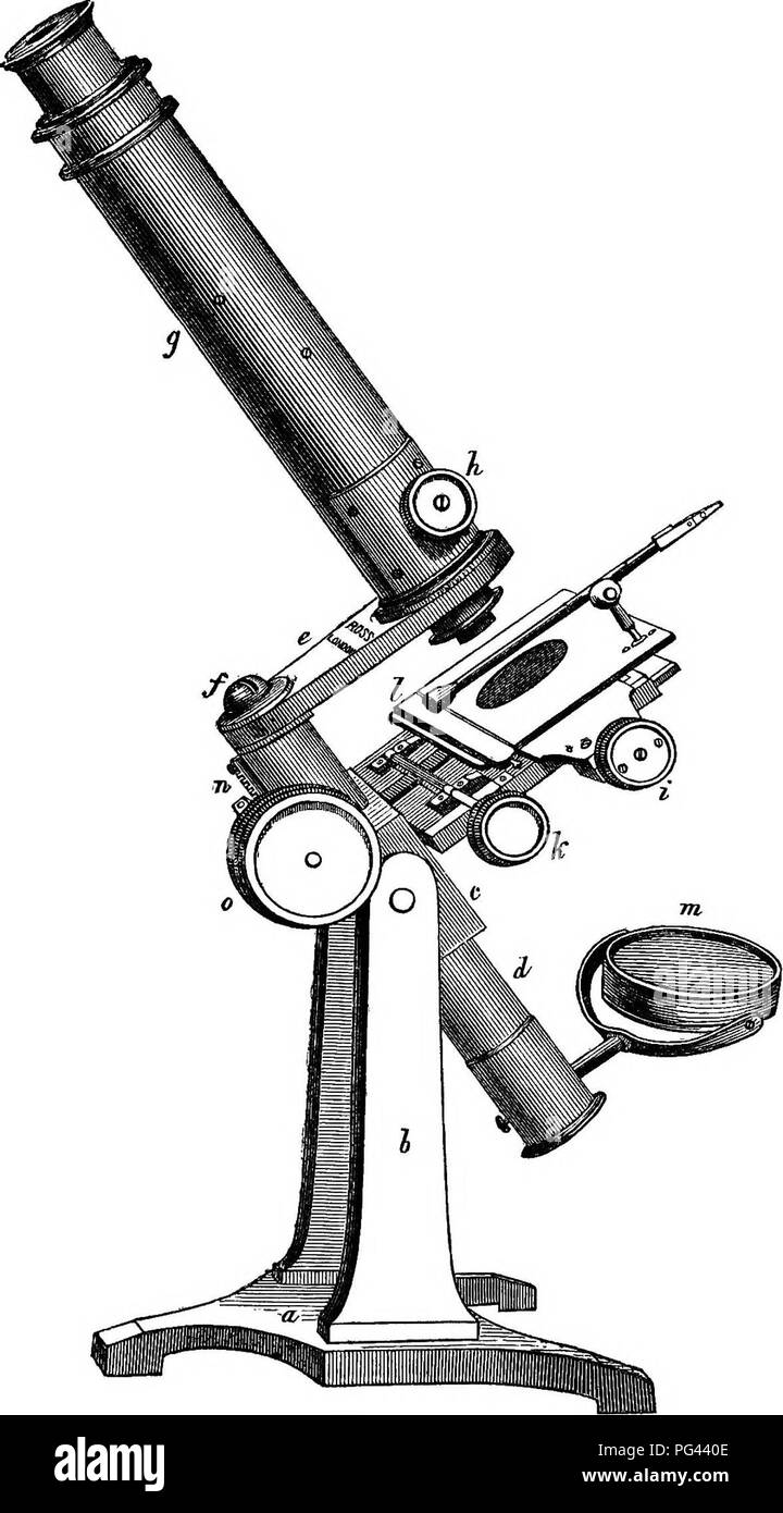 Microscope Pict This illustration from *A Practical Treatise on the Use of the ...